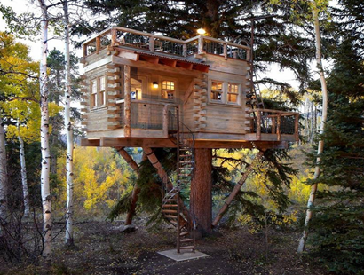 在樹(shù)上建小木屋