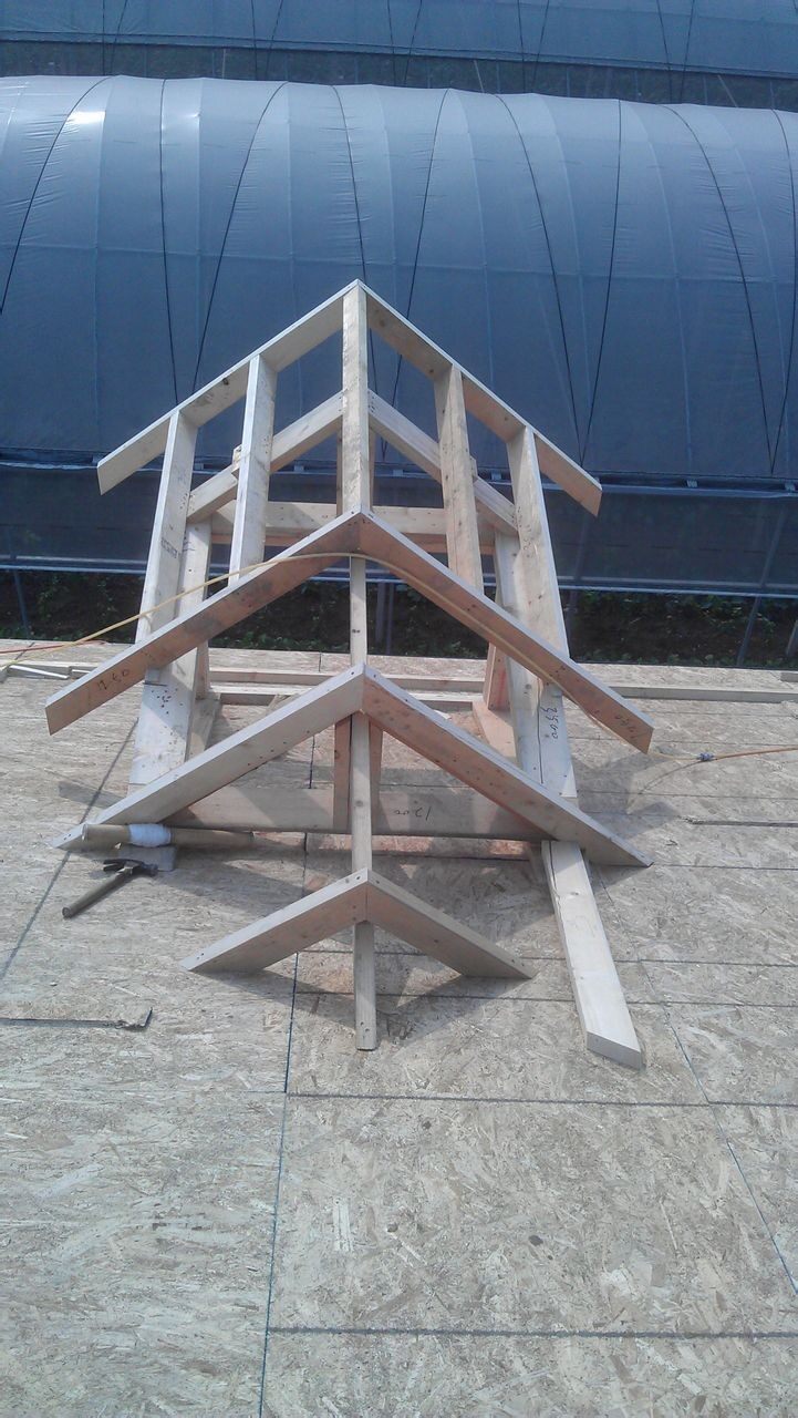 木屋建造的流程是怎么樣的呢？(圖1)