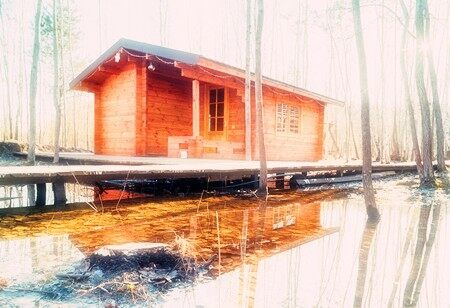 如何預防白蟻對木屋別墅帶來的危害(圖1)