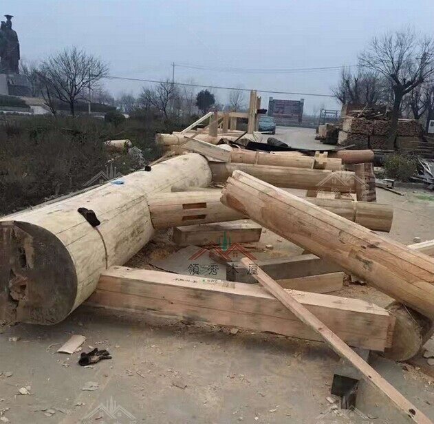 西安渭南桃花源古木建筑景區(qū)(圖4)