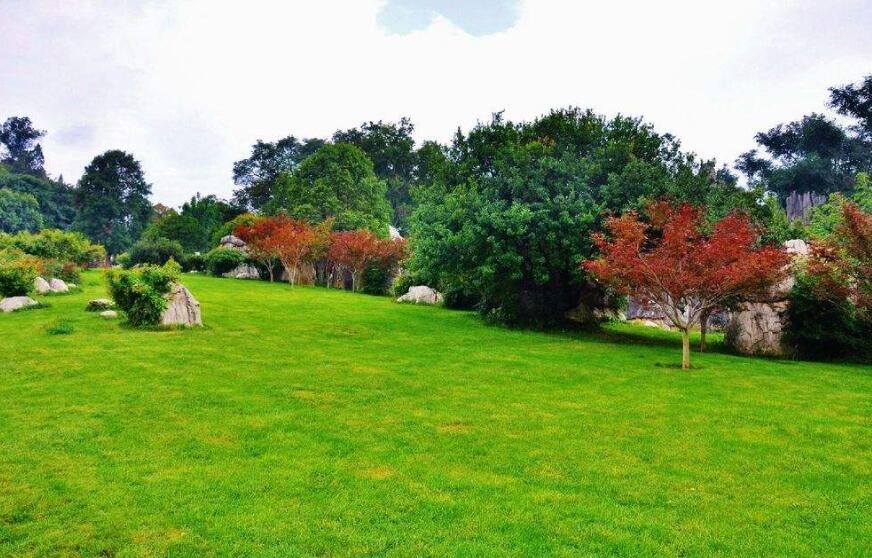 房車營(yíng)地規(guī)劃設(shè)計(jì)(圖2)