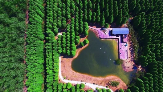 木屋規(guī)劃俯視圖