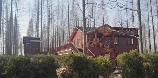 遠(yuǎn)看建好的木屋