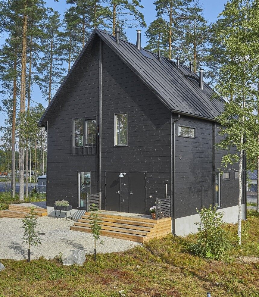 被我們忽視的木屋另外一種：黑色(圖3)