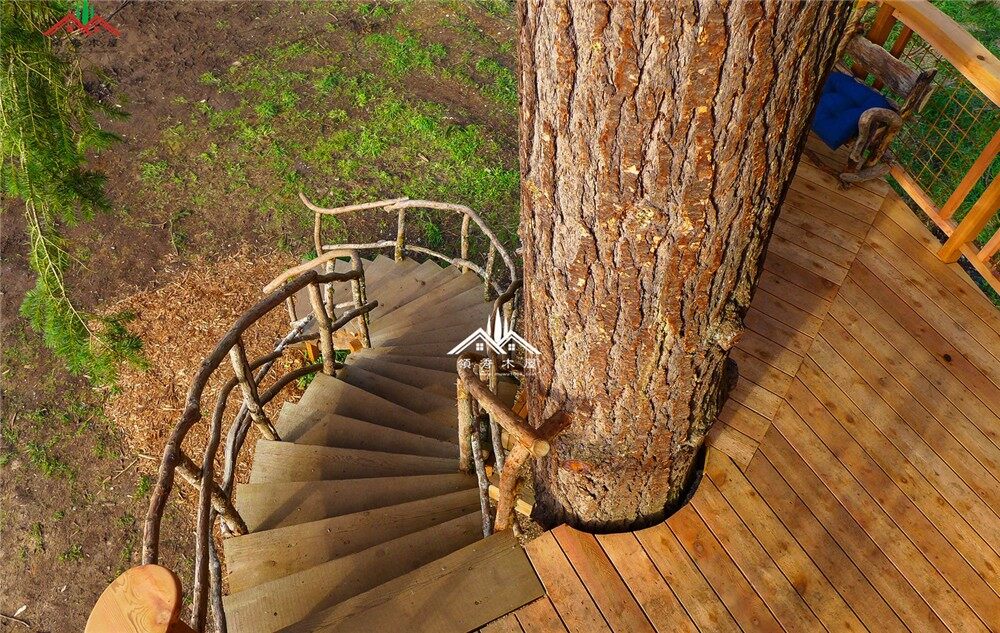 麻雀雖小，五臟俱全的小樹屋(圖5)