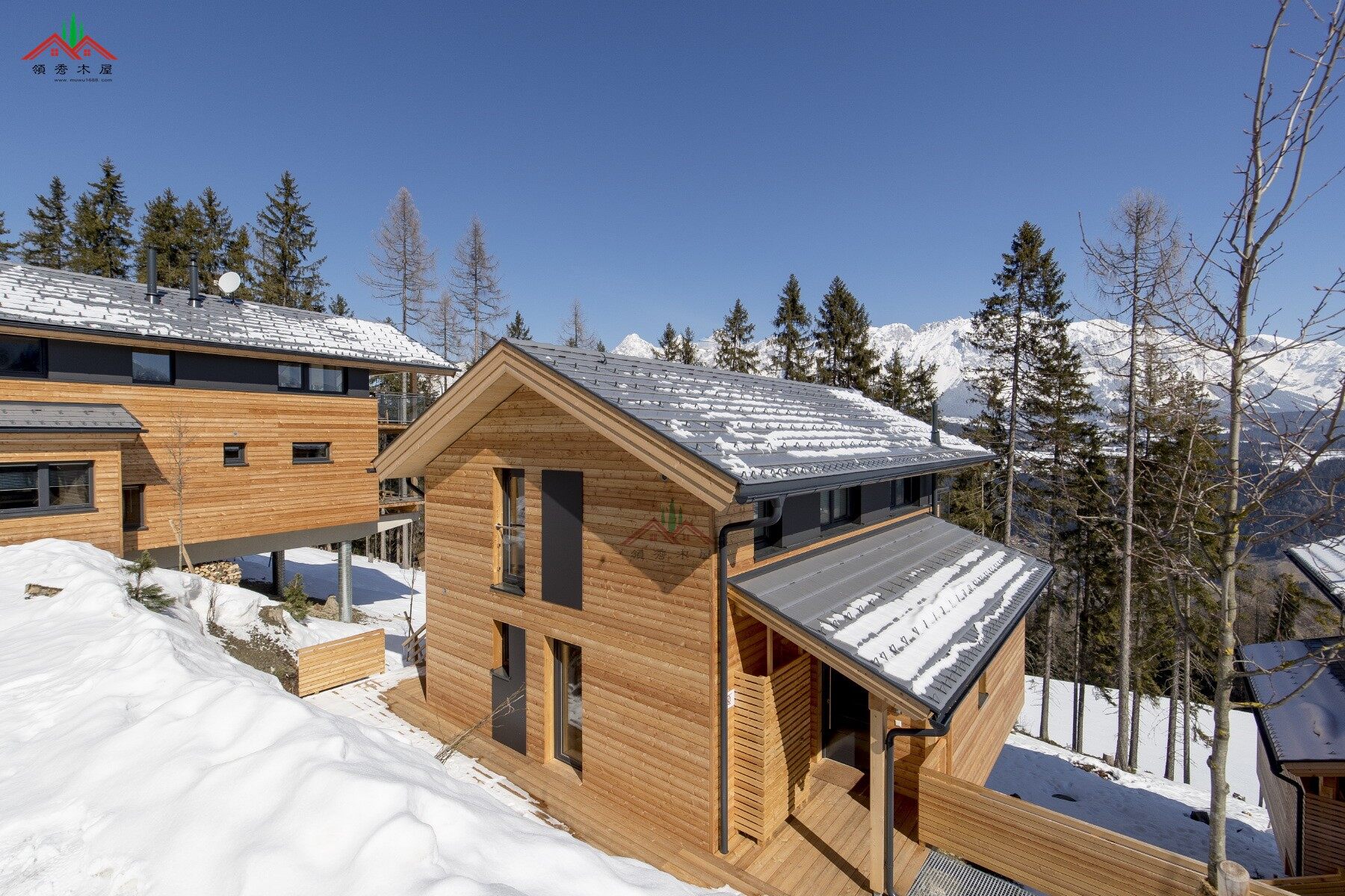 出口奧地利山坡上的度假木屋酒店別墅