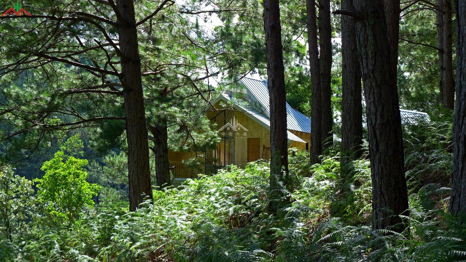 森林個(gè)性異形特色吊腳木屋