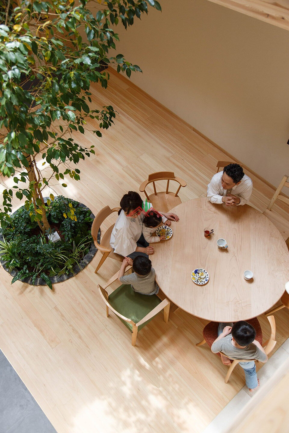 室內(nèi)有顆樹的木屋